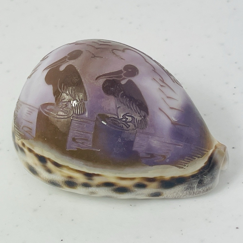 Vintage Seal Key Largo Souvenir Carved Tiger Cowrie Shell - Picture 6 of 12